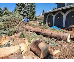 Green Drop Lawns Ltd, Meridian Road Northeast, Calgary, Alberta T2A 2N9, Canada
