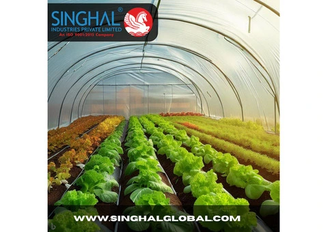 Grow Your Garden with Premium Plastic Film Greenhouse!