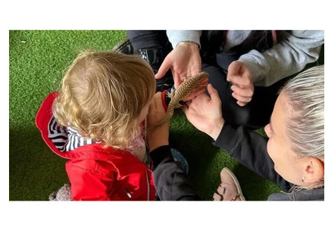 Checkout Leap Start's Early Years Learning Framework on Teaching About Pets