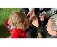 Checkout Leap Start's Early Years Learning Framework on Teaching About Pets