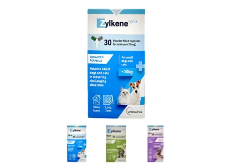 Zylkene Plus Calming Supplement for Dog - VetSupply