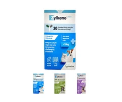Zylkene Plus Calming Supplement for Dog - VetSupply