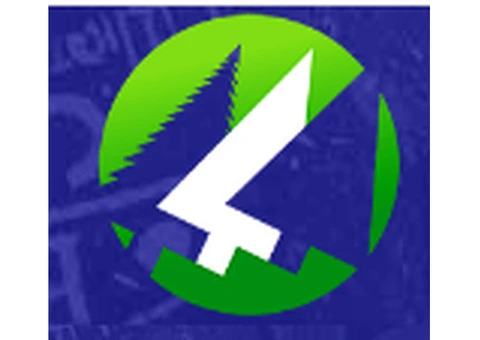 Tree Removal Service Adelaide