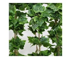 Add a Splash of Colour with Vibrant Hanging Baskets Australia