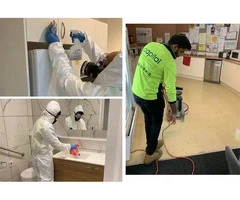 Expert Mould Cleaning Services in Melbourne