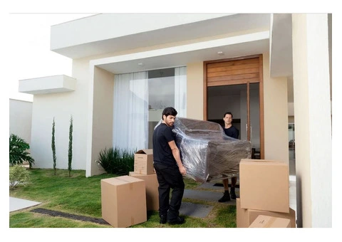 Removalists