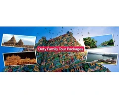 Ideal Ooty Family Tour Packages for 3 Days