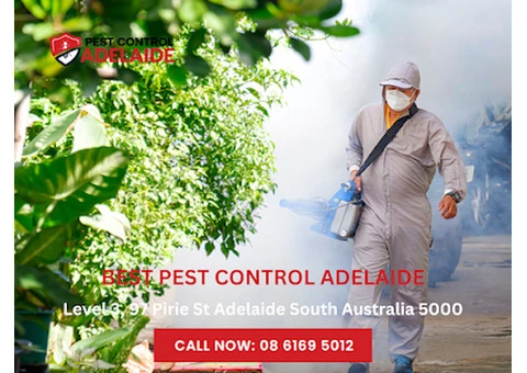 Pest Experts Adelaide - BEST PEST CONTROL ADELAIDE