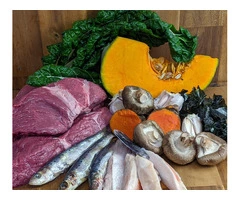 Raw Cat Food | RogueRaw