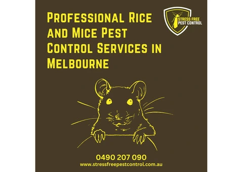 Mice Pest Control Services in Melbourne to Avoid Property Damage