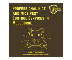 Mice Pest Control Services in Melbourne to Avoid Property Damage