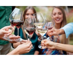 Best Wine Tours in Adelaide