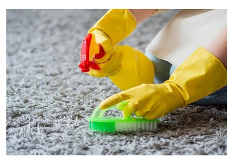 Love Your Home Again with Expert Carpet Cleaning!