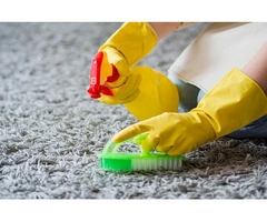 Love Your Home Again with Expert Carpet Cleaning!