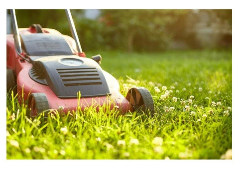How Can Lawn Mowing Services in Parramatta Improve Your Lawn's Health?
