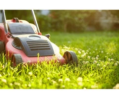 How Can Lawn Mowing Services in Parramatta Improve Your Lawn's Health?