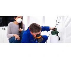 Cockroach Control Canberra