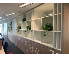 Office Plant Hire in Melbourne: A Guide to Finding the Perfect Fit