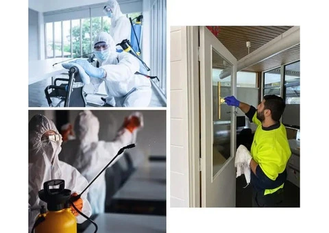Professional Mould Removal Services in Melbourne