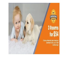 Are You Need a Carpet Cleaning Forest Hill, Vic?