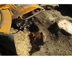 Stump Removal Adelaide