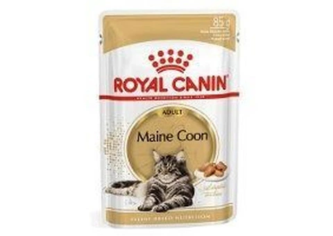 Royal Canin Maine Coon in Gravy Adult Over 15 Months Pouches - Wet Cat Food | VetSupply