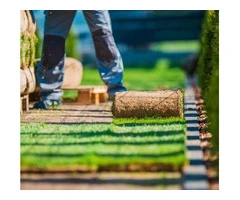 Transform Your Lawn Completely With Soft Leaf Buffalo Turf