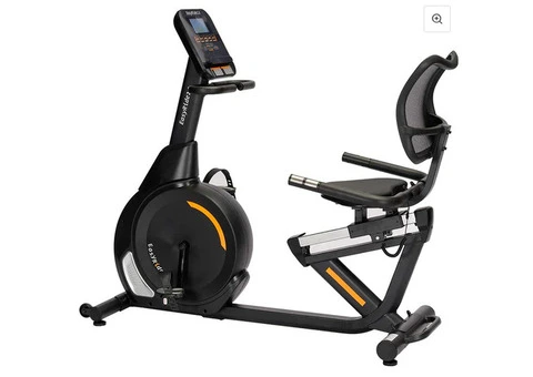 Recumbent Bike