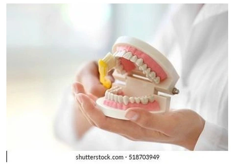 Navigating the World of Orthodontic Treatment in Richmond