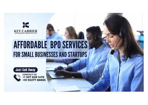 Affordable BPO Services for Small Businesses and Startups
