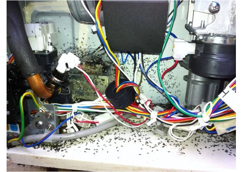 Undergoing Bosch hot water repair issues? - 4/4