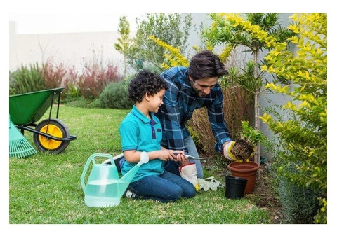 Need expert assistance for lawn maintenance? - 1/3