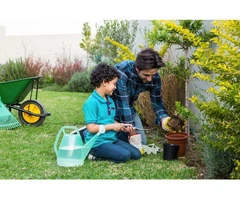 Need expert assistance for lawn maintenance?