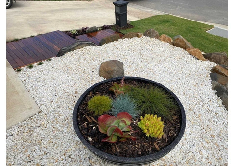 Need expert assistance for lawn maintenance? - 3/3