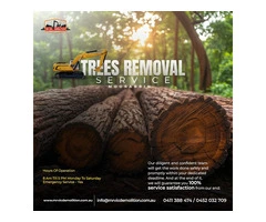 Premier Partner for Site Cuts, Tree Removal, and Demolition Services