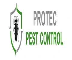 Experienced Pest Removal Specialists in Adelaide