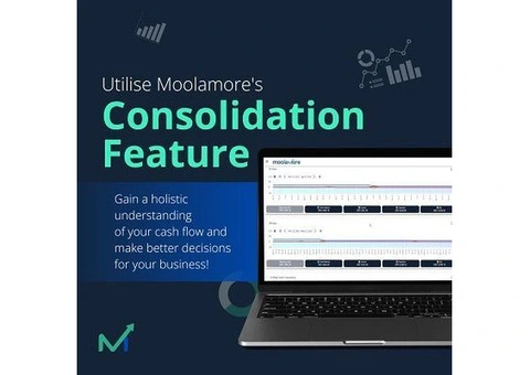 Revolutionize Your Business Finances with Moolamore Financial Tool