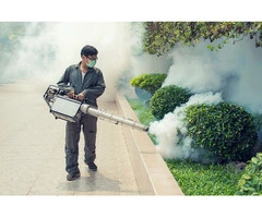 The Benefits of Regular Pest Control Maintenance