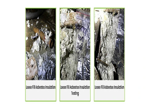 Mould Testing | Mould Assessment Sydney | Integrated Environmental