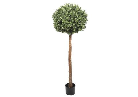 Create a Sensational Manicured Green Space with Topiary Trees