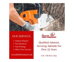 Best tree removal services in Adelaide, Australia