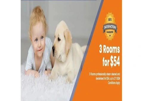 Looking for a Professional Carpet Cleaning Briar Hill, VIC?