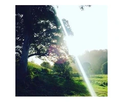 Pure Natural Spring Water Delivered to Your Door