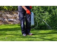 Pest Control Newcastle | Commercial & Residential Services