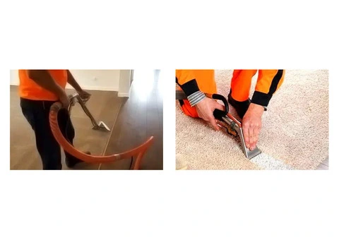 Cheap Carpet Cleaning Services: Transform Your Space!