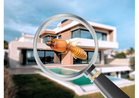 Termites Treatment Sydney - 2/2