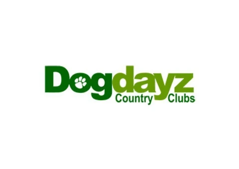 Dogdayz: Premium Dog Boarding and Daycare Services in Melbourne"