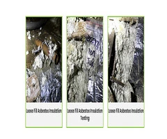 Mould Inspection Sydney | Mould Removal | Integrated Environmental