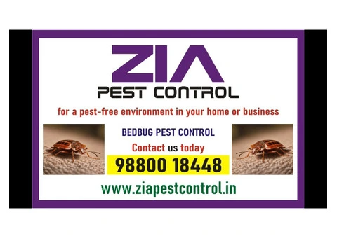 Pest Control service | effective bedbug treatments Bangalore | 1865