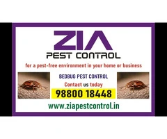Pest Control service | effective bedbug treatments Bangalore | 1865
